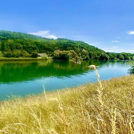 Entre Ried Et Rhin
