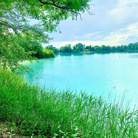 Feriehus Entre Ried Et Rhin *